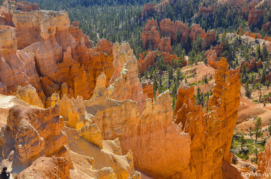 Bryce Canyon. Sunrise point