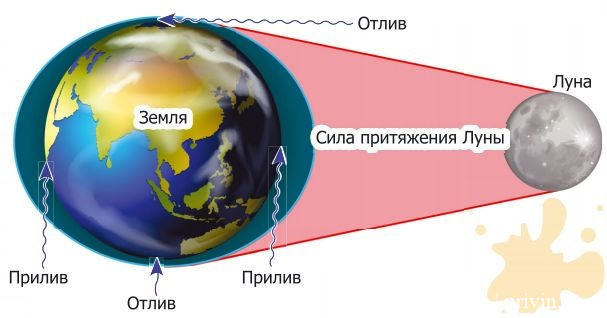 Приливы и отливы на Занзибаре