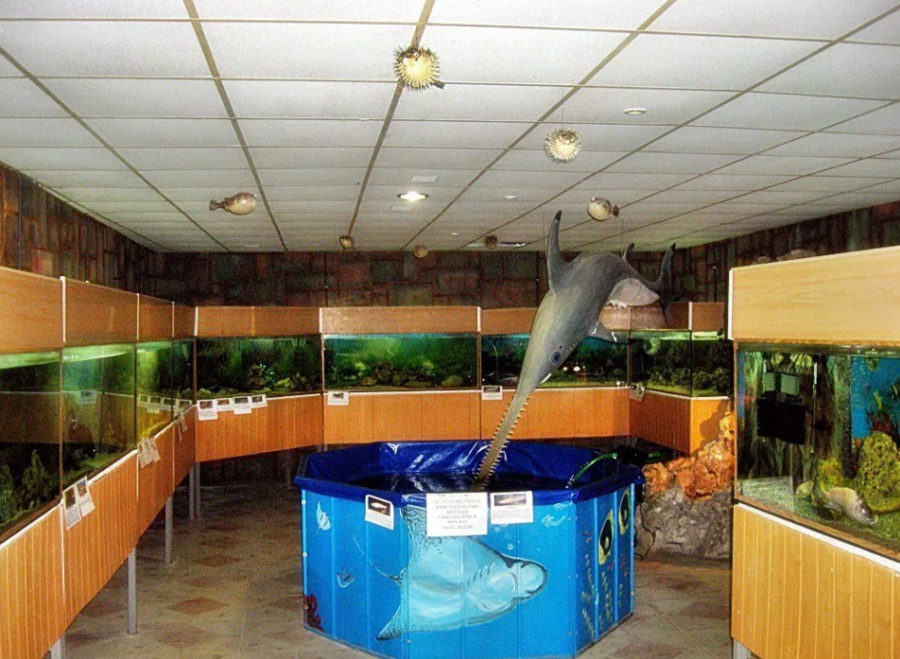 аквариум «Черноморский»