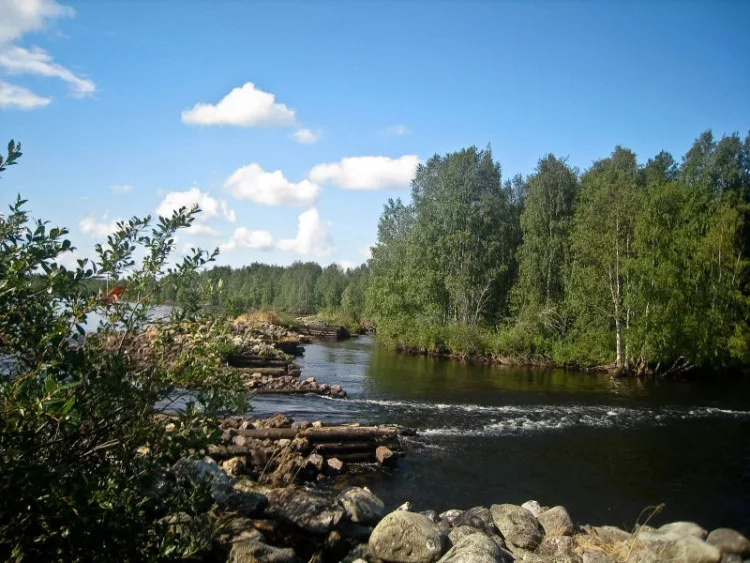 Река Охта в Карелии